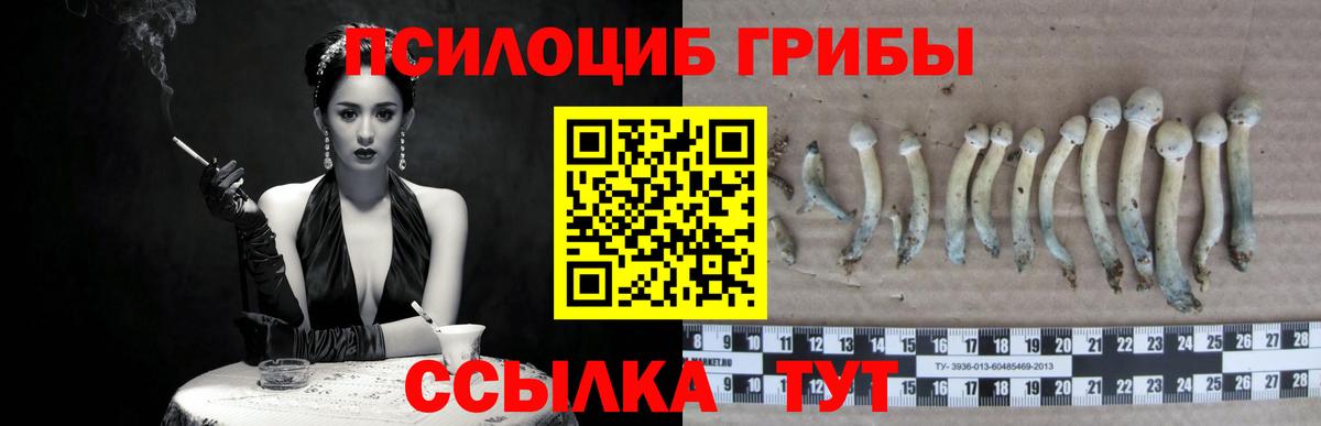 Псилоцибиновые грибы мицелий  Вход с VPN  Алушта 
